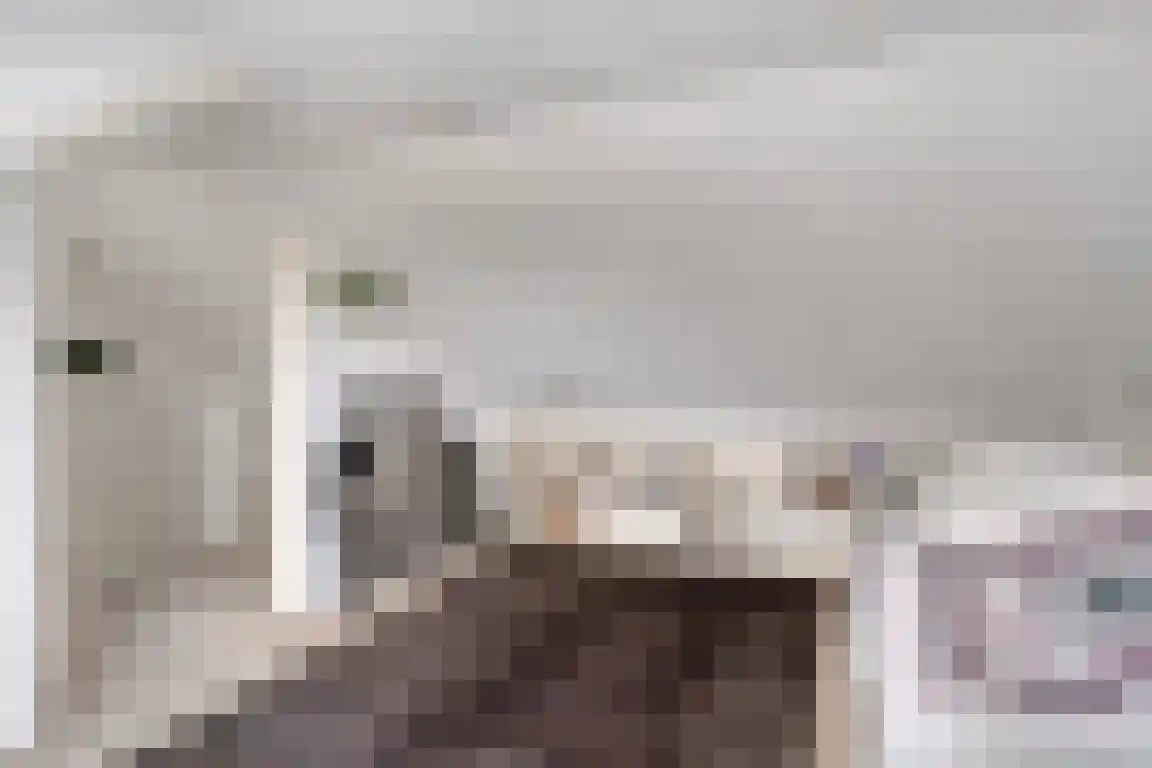 Alexanderstraat 27 Waalre thumbnail 33