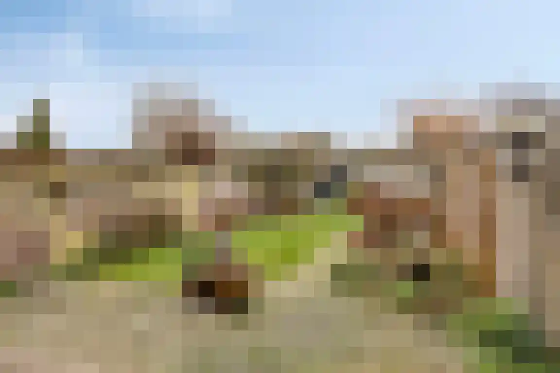 Alexanderstraat 27 Waalre thumbnail 35