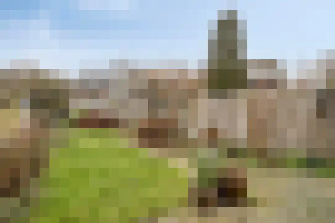 Alexanderstraat 27 Waalre thumbnail 36