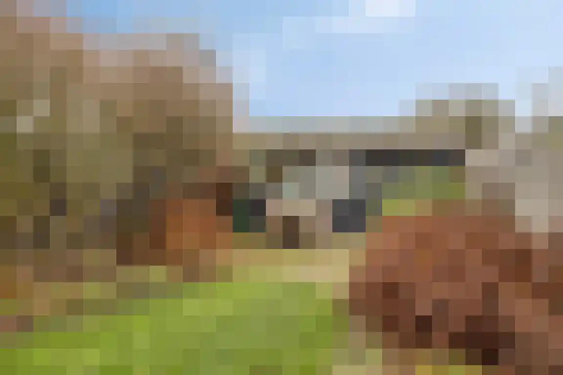 Alexanderstraat 27 Waalre thumbnail 38