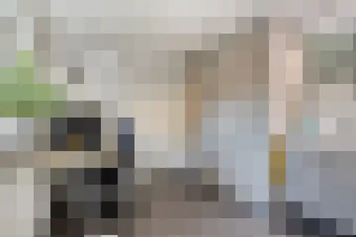 Alexanderstraat 3 Afferden L thumbnail 19