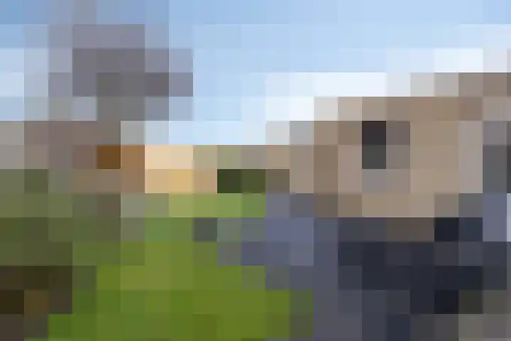 Alexanderstraat 3 Afferden L thumbnail 35