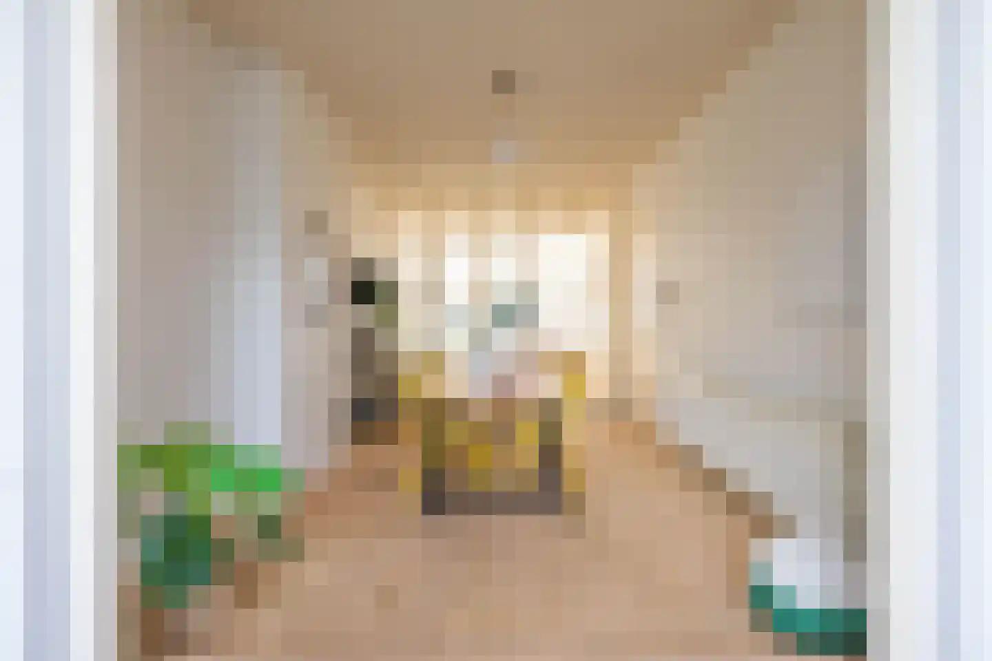 Alexanderstraat 3 Groningen thumbnail 15