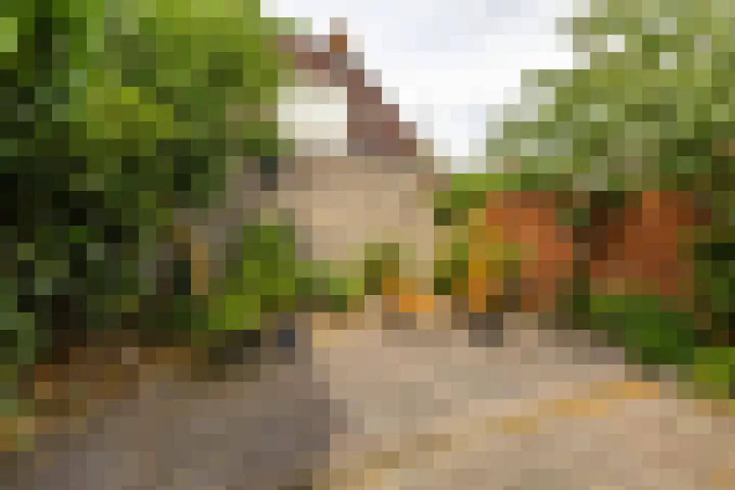 Alexanderstraat 3 Groningen thumbnail 26