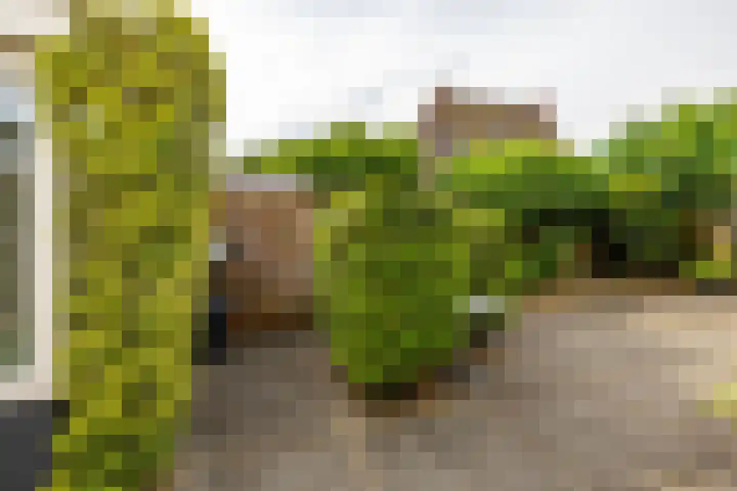 Alexanderstraat 3 Groningen thumbnail 27