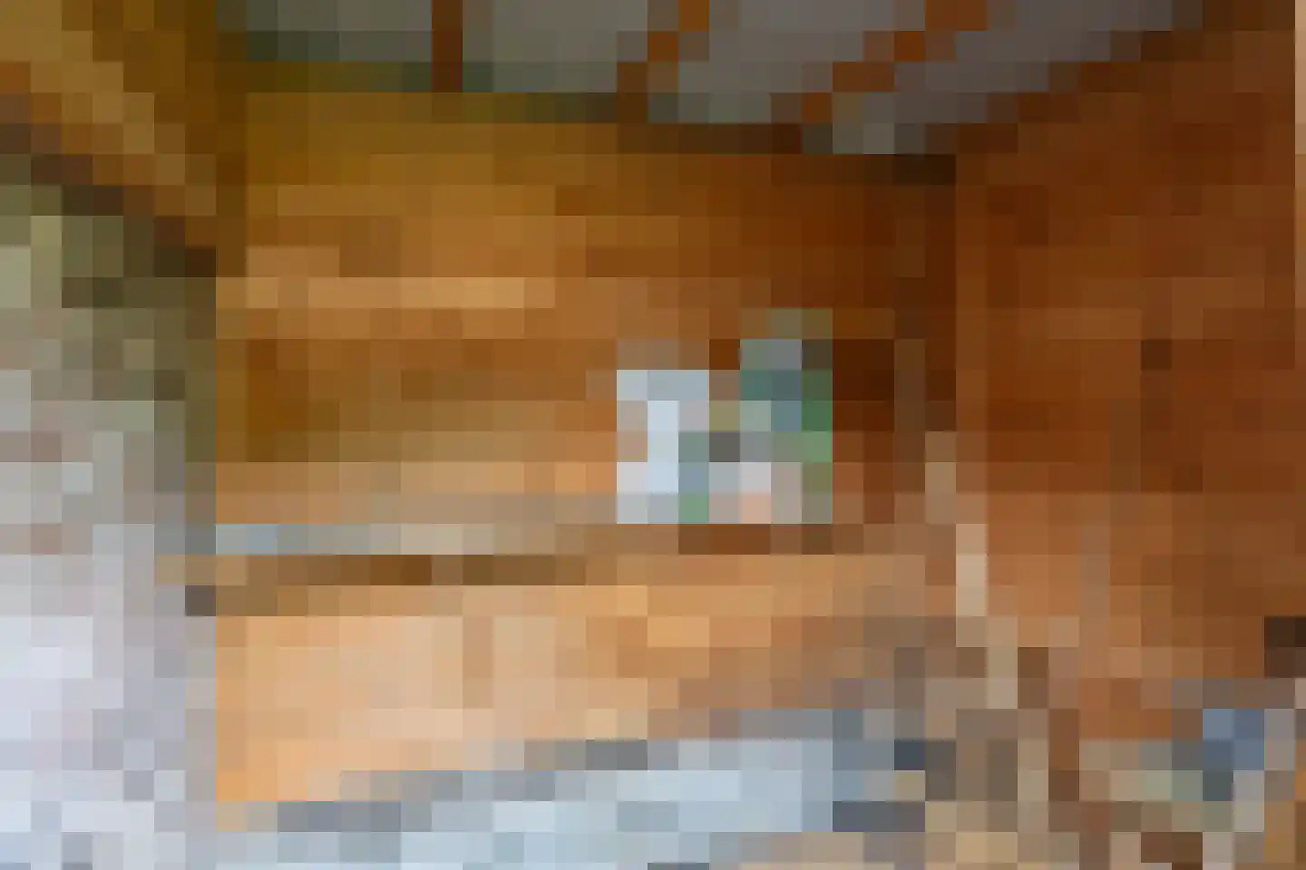 Alexanderstraat 3 Groningen thumbnail 28