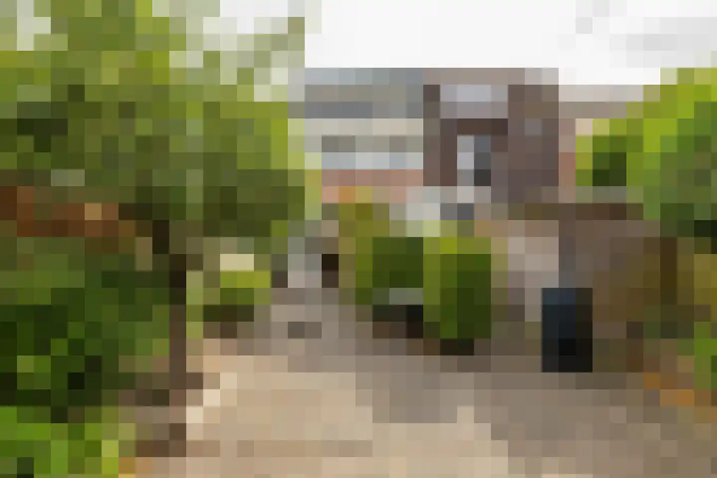 Alexanderstraat 3 Groningen thumbnail 4
