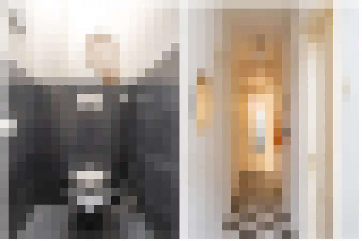 Alexanderstraat 3 Groningen thumbnail 9