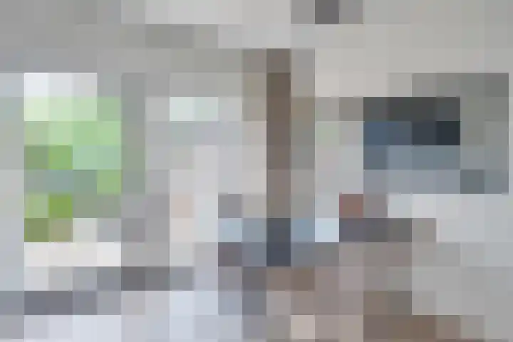 Alexanderstraat 31 Waalre thumbnail 10