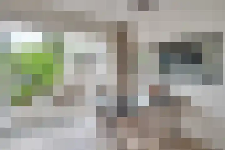 Alexanderstraat 31 Waalre thumbnail 11