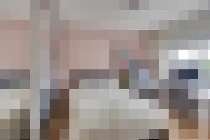 Alexanderstraat 31 Waalre thumbnail 18