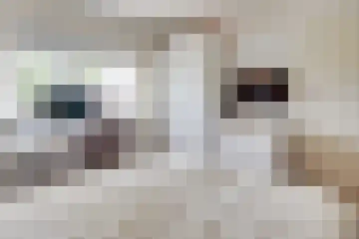 Alexanderstraat 31 Waalre thumbnail 19