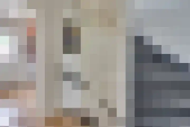 Alexanderstraat 31 Waalre thumbnail 21