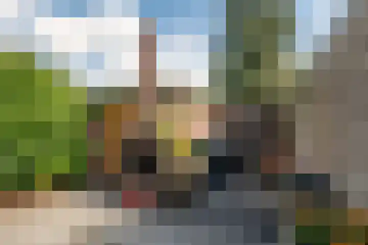 Alexanderstraat 31 Waalre thumbnail 26