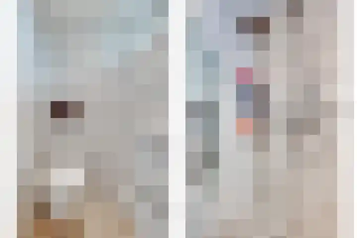 Alexanderstraat 31 Waalre thumbnail 4