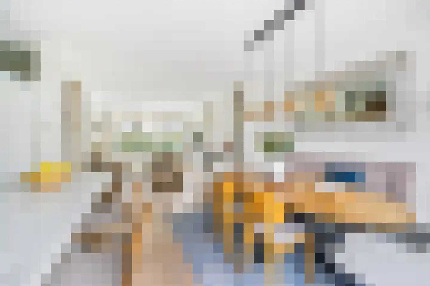 Alexanderstraat 31 Zoetermeer thumbnail 10