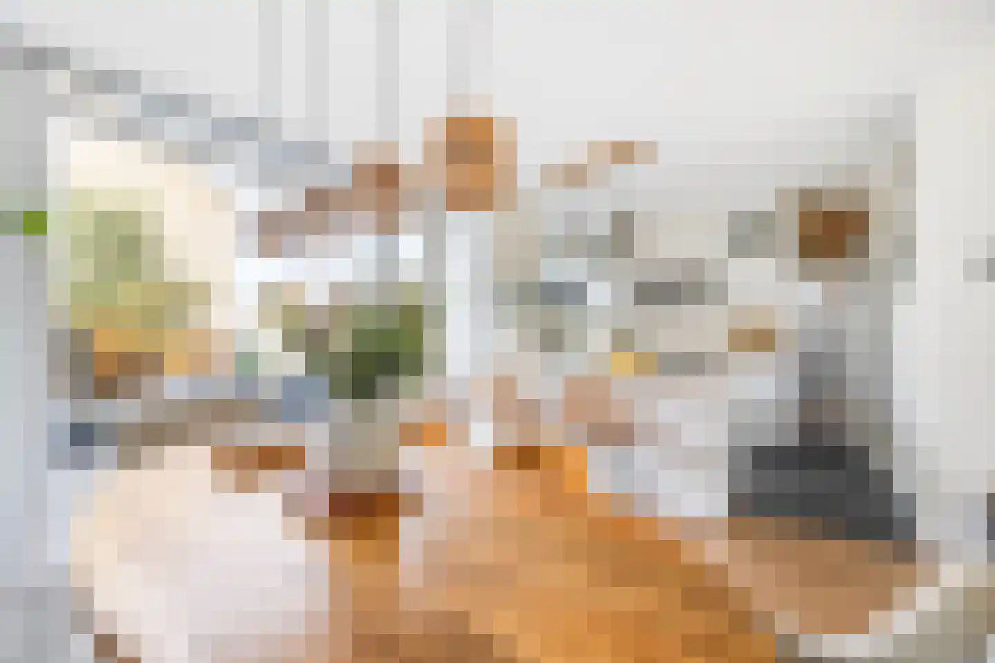 Alexanderstraat 31 Zoetermeer thumbnail 11