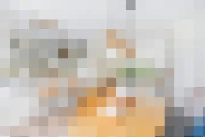 Alexanderstraat 31 Zoetermeer thumbnail 12
