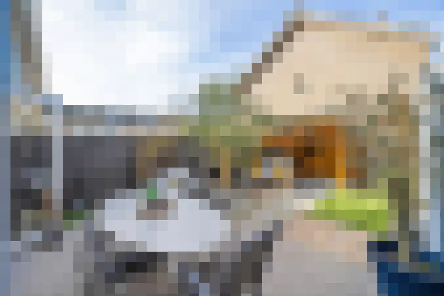 Alexanderstraat 31 Zoetermeer thumbnail 18