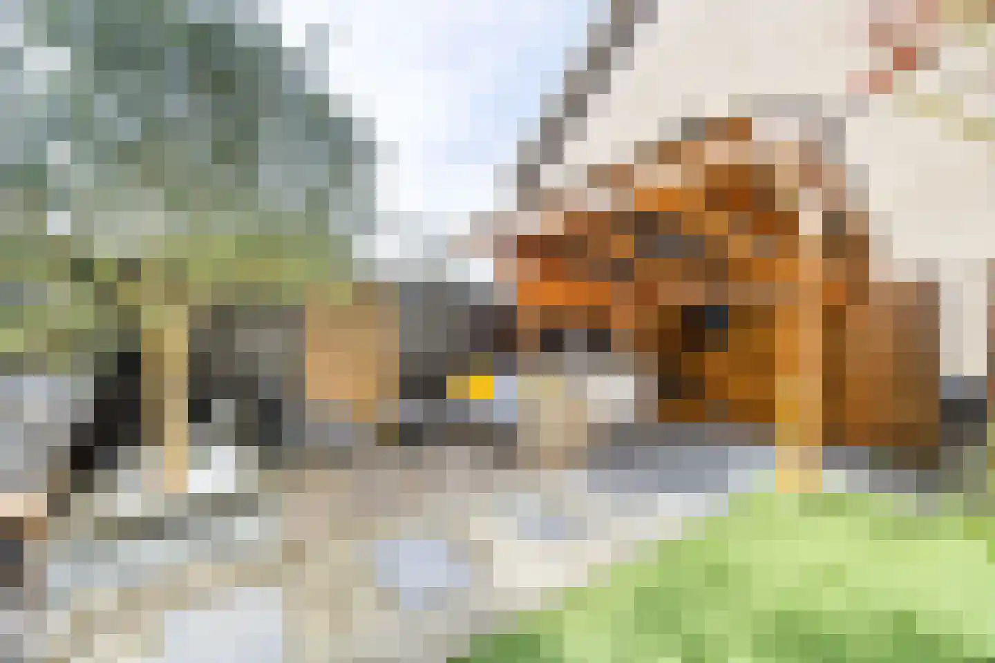 Alexanderstraat 31 Zoetermeer thumbnail 21
