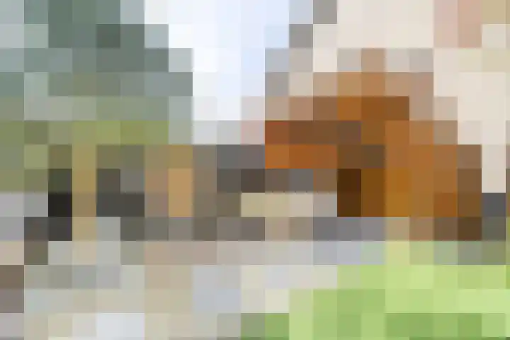 Alexanderstraat 31 Zoetermeer thumbnail 21