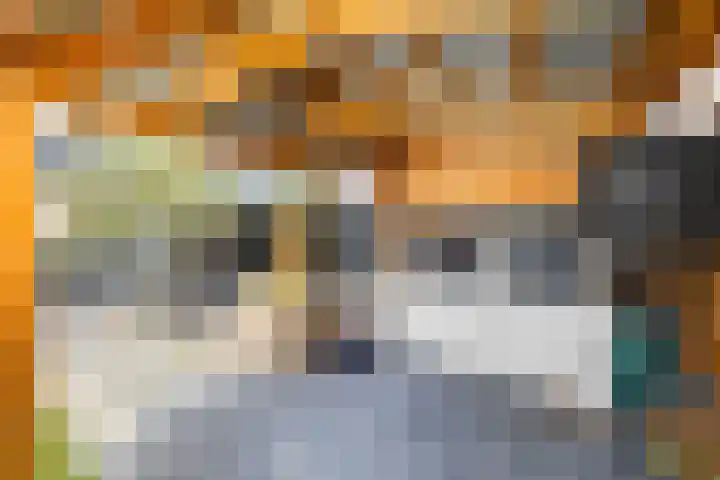 Alexanderstraat 31 Zoetermeer thumbnail 22