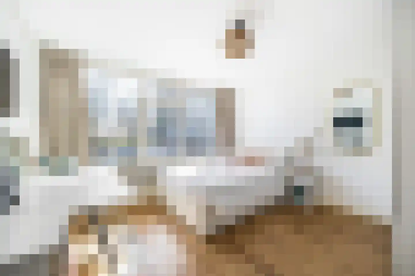Alexanderstraat 31 Zoetermeer thumbnail 29