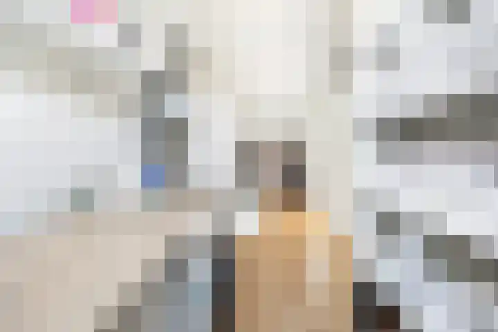 Alexanderstraat 31 Zoetermeer thumbnail 34