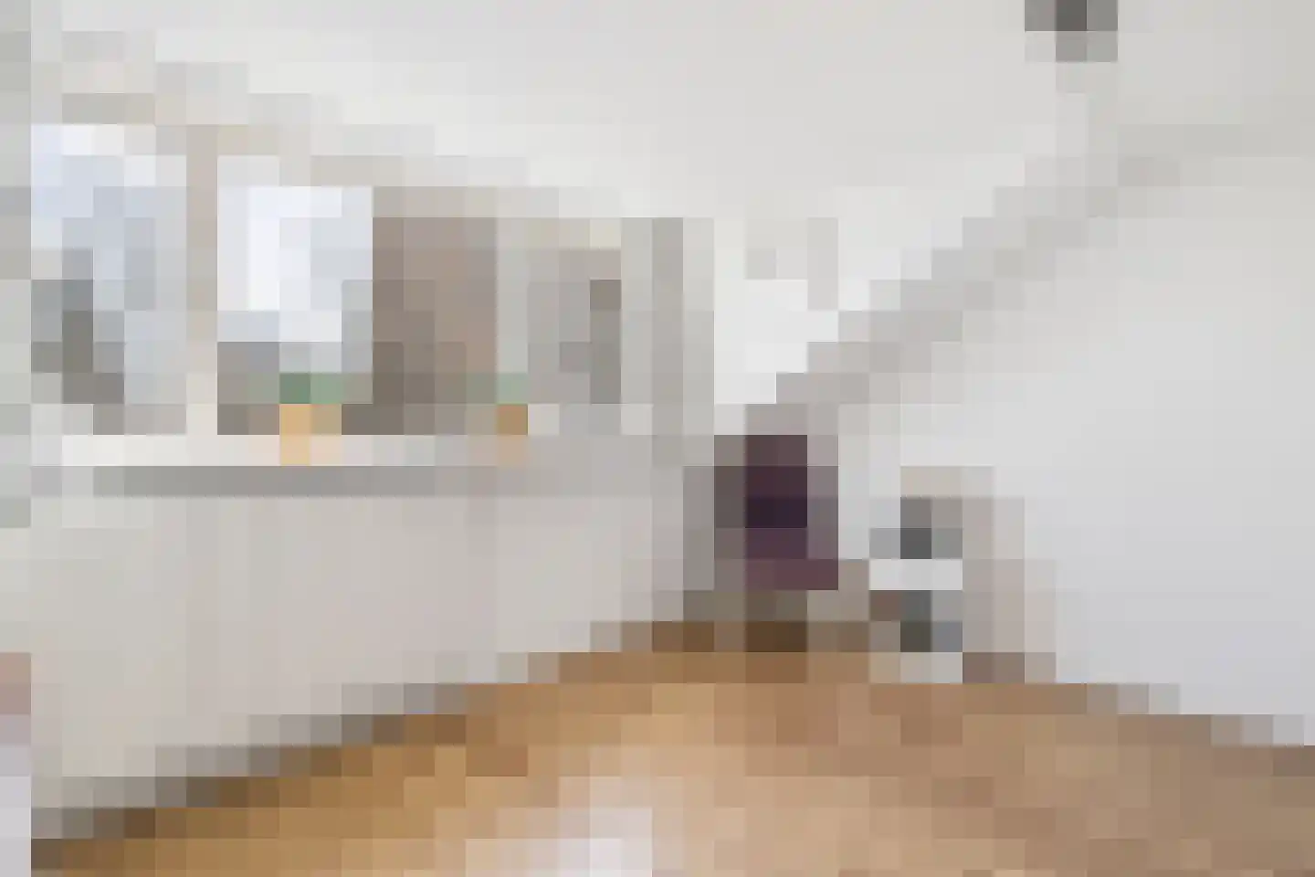 Alexanderstraat 31 Zoetermeer thumbnail 38