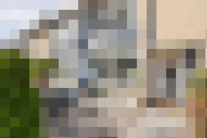 Alexanderstraat 31 Zoetermeer thumbnail 40