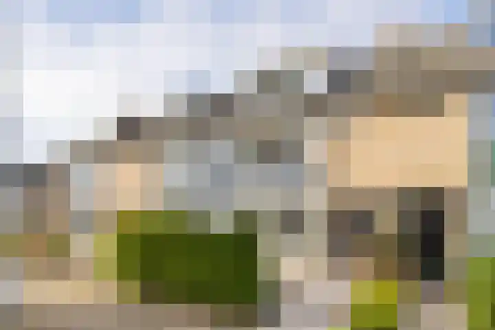 Alexanderstraat 31 Zoetermeer thumbnail 46