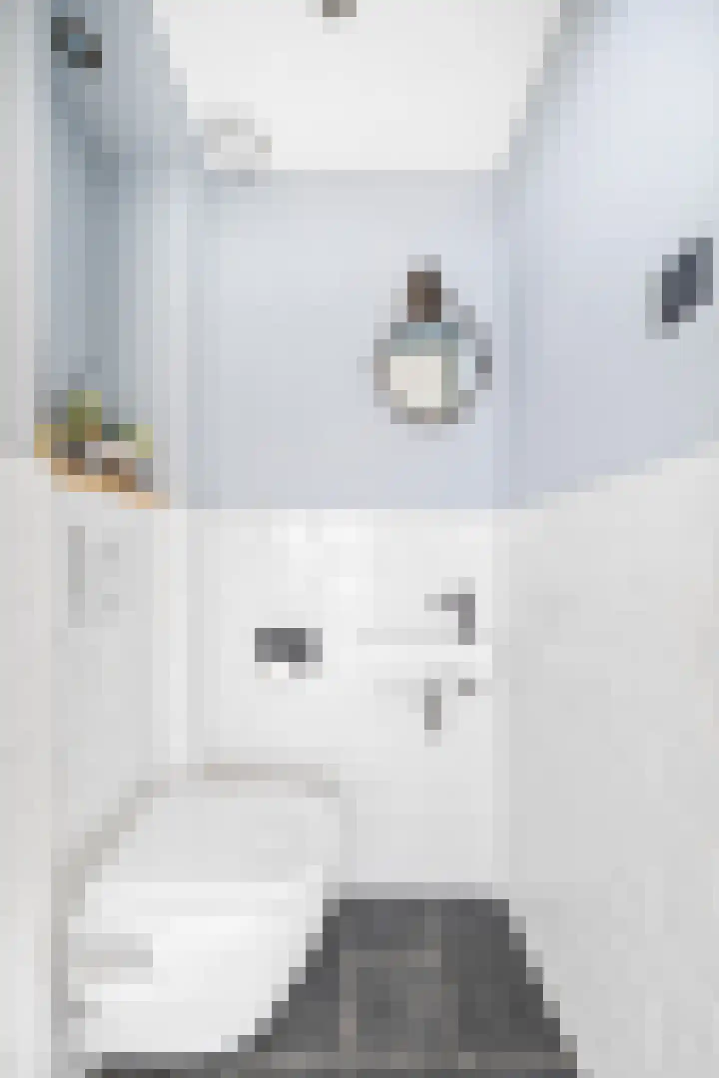 Alexanderstraat 31 Zoetermeer thumbnail 5