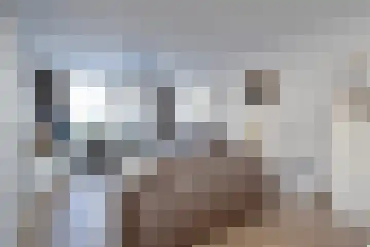 Alexanderstraat 35 Zoetermeer thumbnail 5