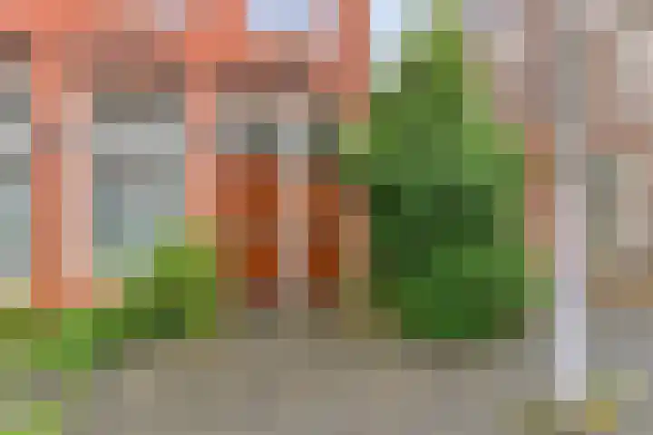 Alexanderstraat 4 a Groningen thumbnail 6