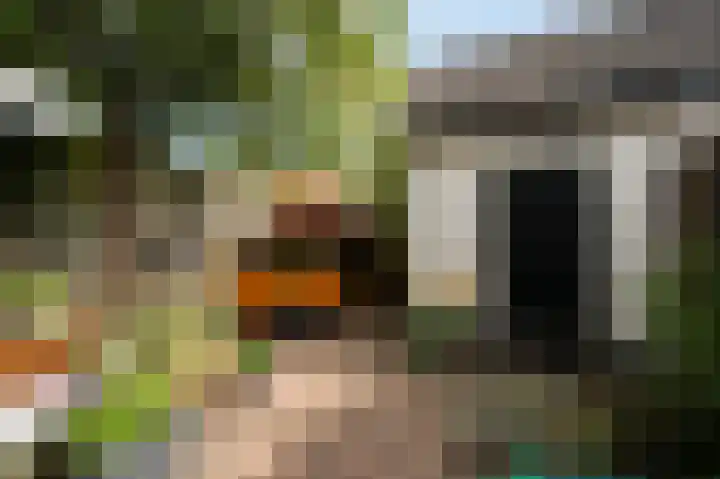 Alexanderstraat 4 Dordrecht thumbnail 32