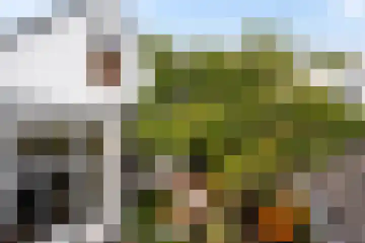 Alexanderstraat 4 Dordrecht thumbnail 38