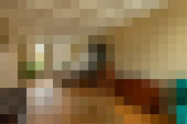 Alexanderstraat 4 Kapelle thumbnail 11