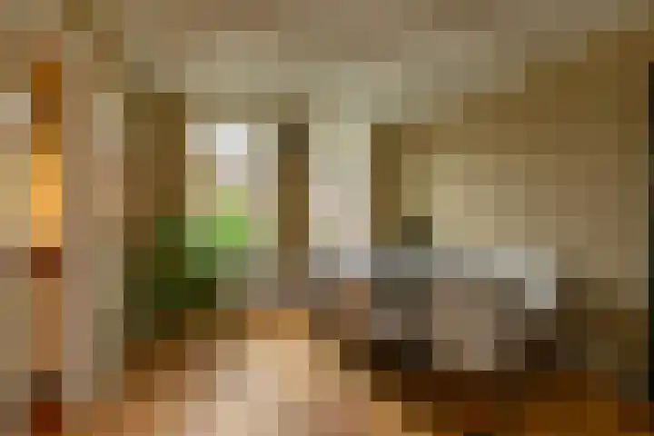 Alexanderstraat 4 Kapelle thumbnail 13