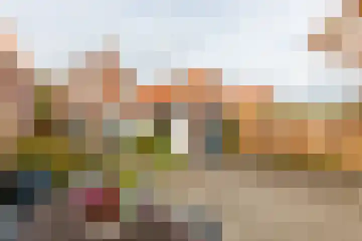 Alexanderstraat 4 Kapelle thumbnail 36