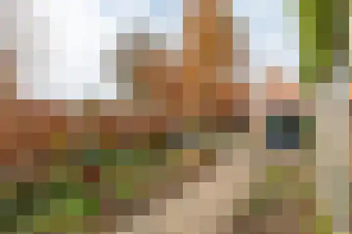 Alexanderstraat 4 Kapelle thumbnail 37