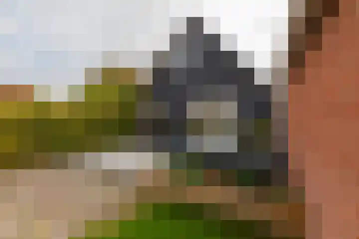 Alexanderstraat 4 Kapelle thumbnail 4