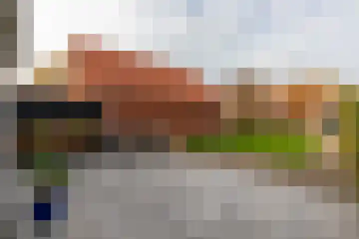Alexanderstraat 4 Kapelle thumbnail 40