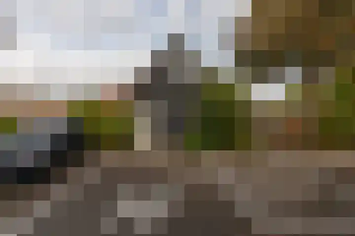 Alexanderstraat 4 Kapelle thumbnail 51