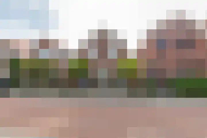 Alexanderstraat 4 Kapelle thumbnail 59