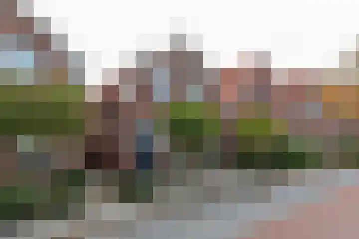 Alexanderstraat 4 Kapelle thumbnail 61