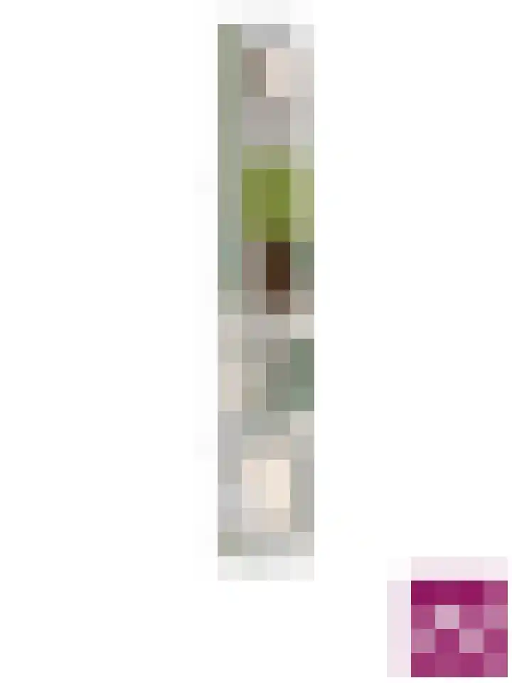 Alexanderstraat 4 Kapelle thumbnail 65