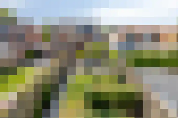 Alexanderstraat 41 Kapelle thumbnail 48