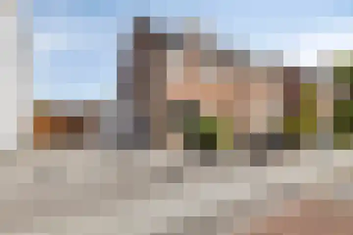 Alexanderstraat 41 Kapelle thumbnail 49