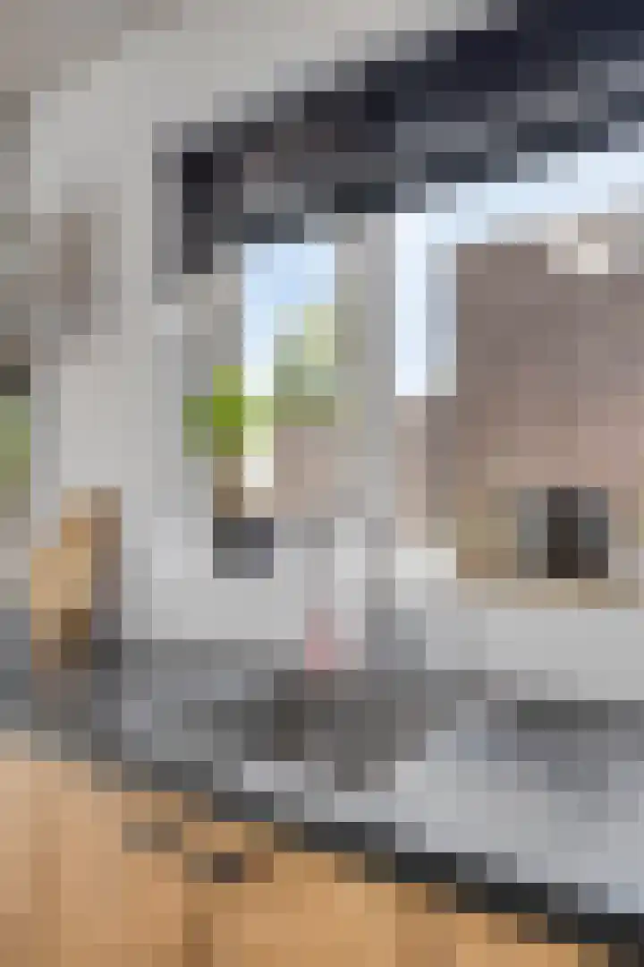 Alexanderstraat 41 Kapelle thumbnail 6
