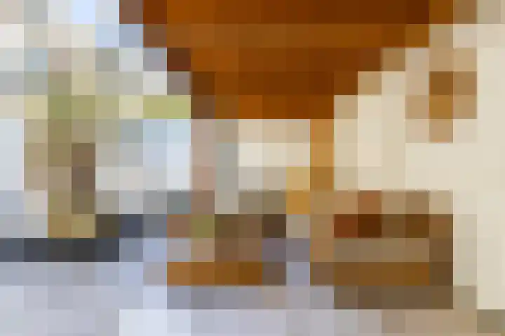 Alexanderstraat 5 Groningen thumbnail 30